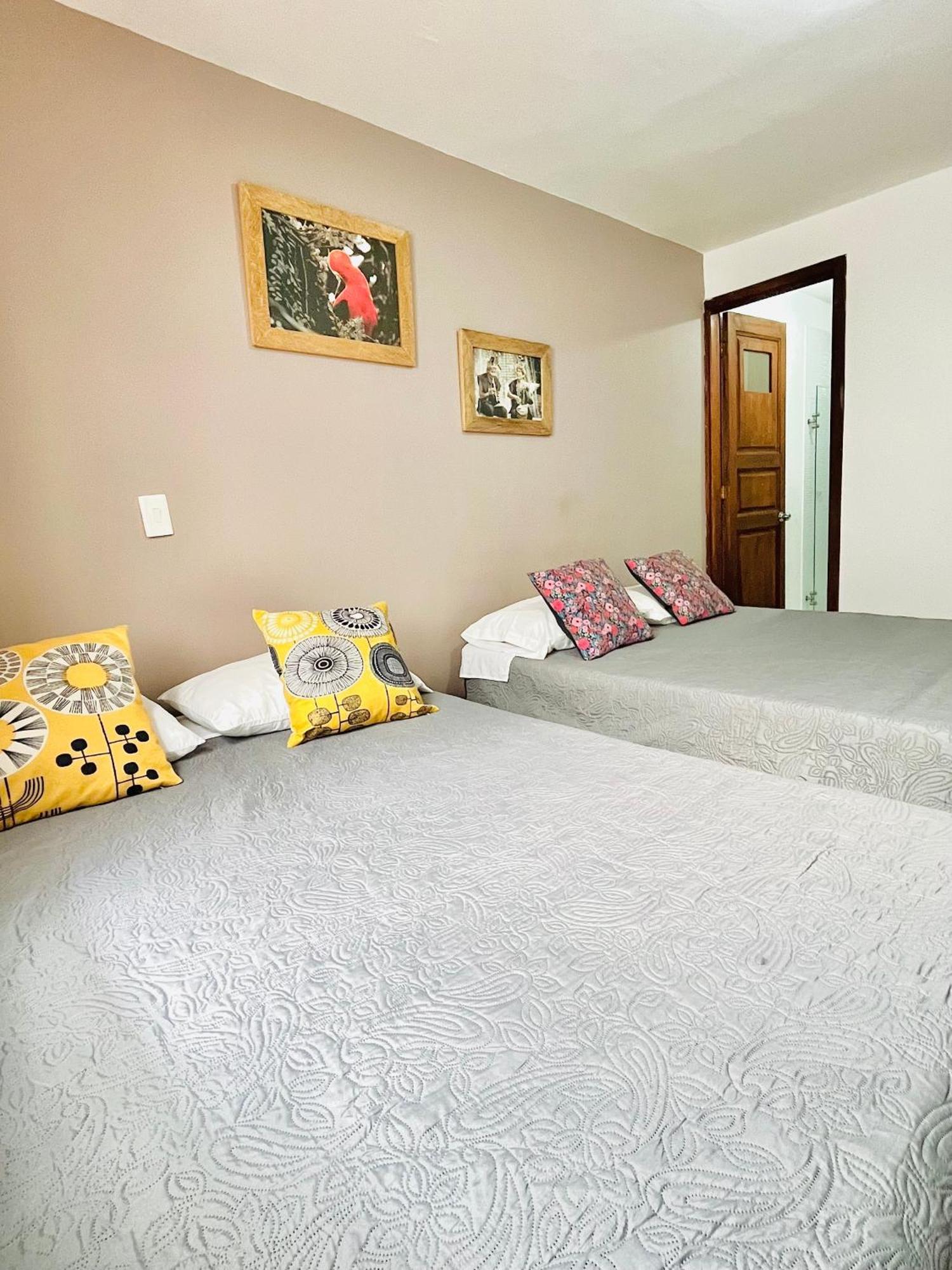 Apartment Juliana Jardin